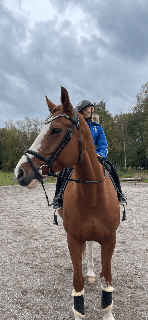 Media 3 av Tanya