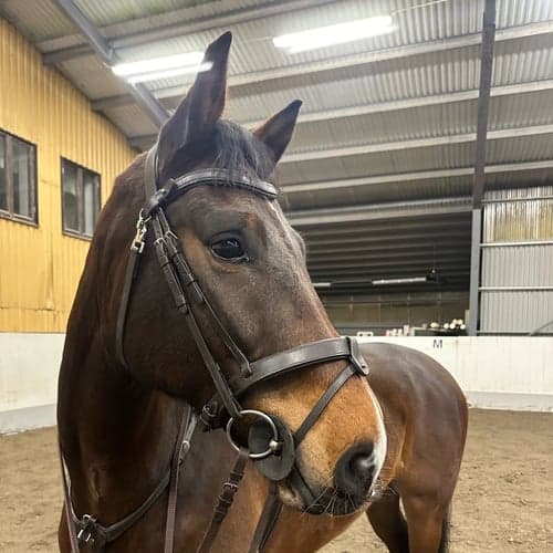 Profile picture of Emma Wetterlundh
