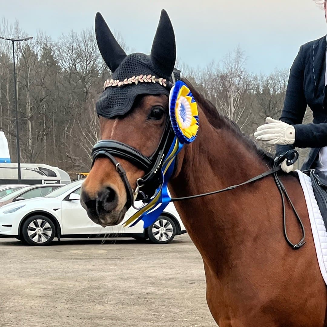 Bild 1 av Blakt's Tiara