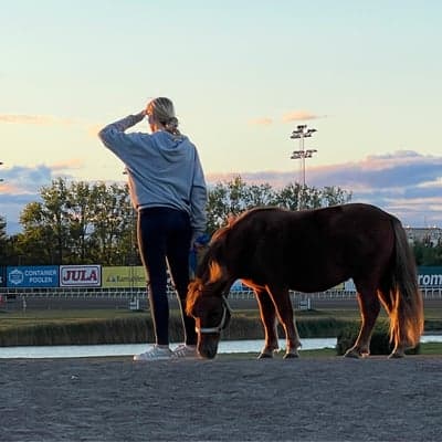 Inlägg 67 av Trav med titeln Kvällspromenad och kollar underlaget på Jägers 