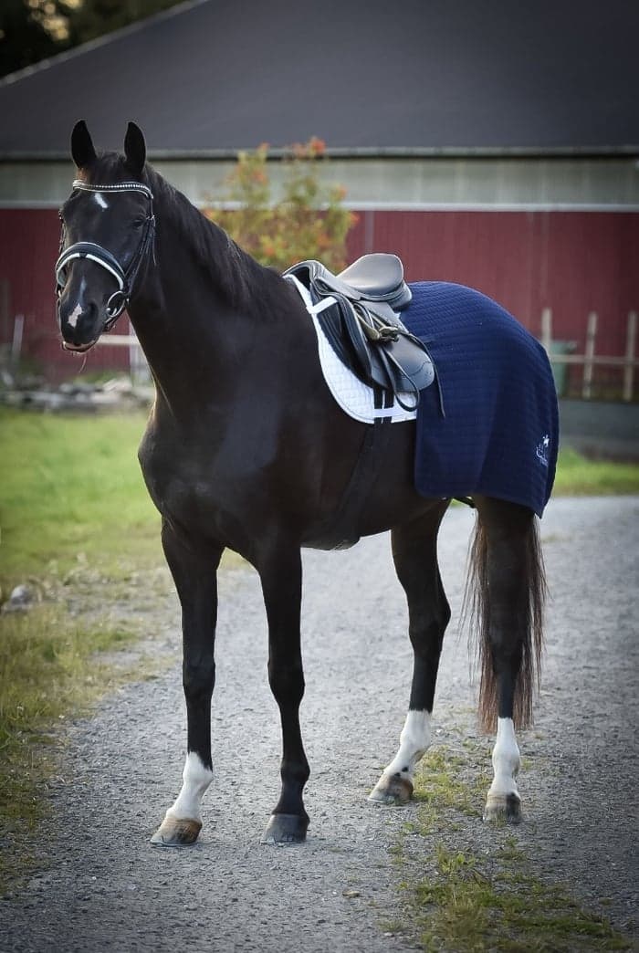 Media 3 av Hope solo