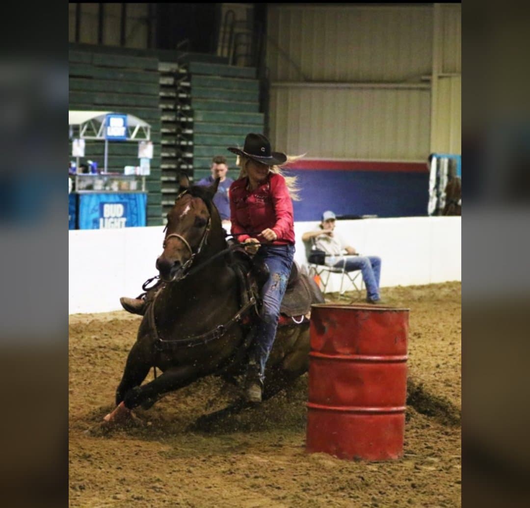 Bild 1 av 1D/2D barrel gelding