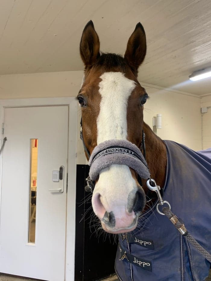 Media 1 of Ribadesella