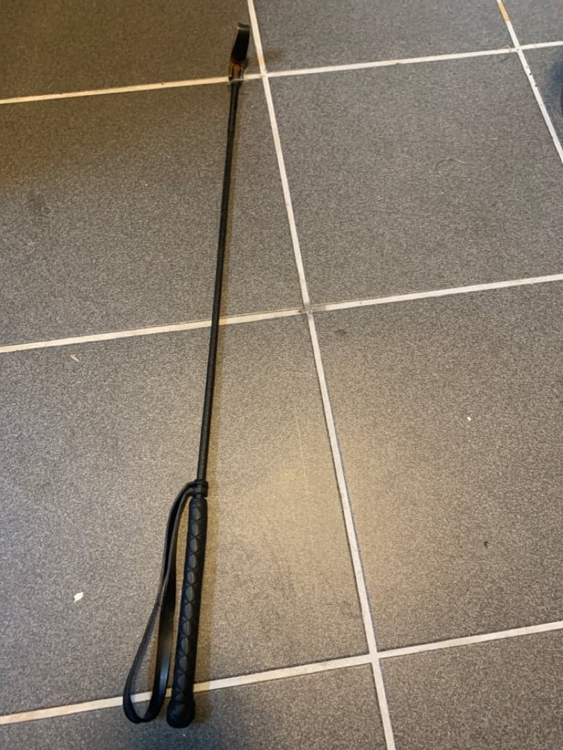 Bild 1 av Svart ridpiska