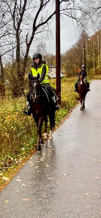 Inlägg 23 av Engelskt Fullblod med titeln 🌧️ 🍁🌧️