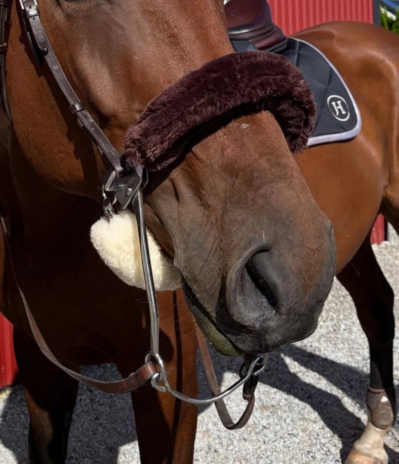 Bild 2 av Sprenger hackamore