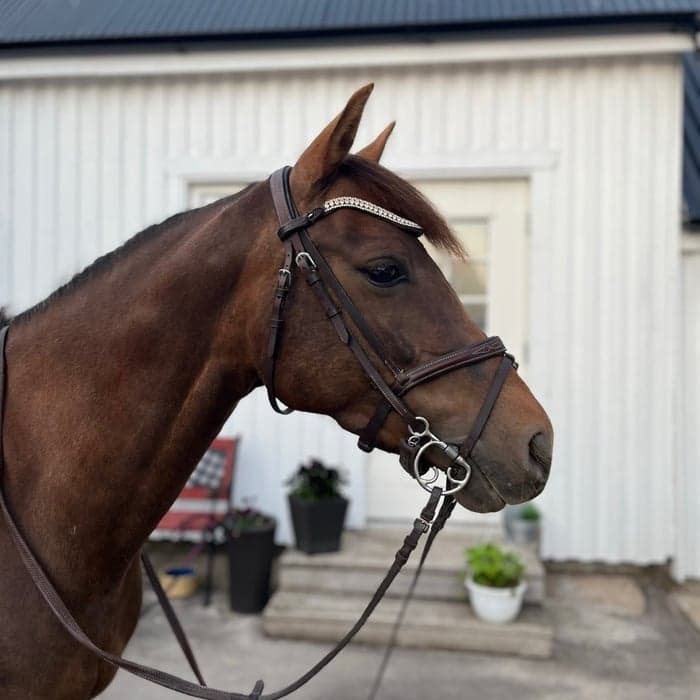 Media 1 av abolute unique CJ