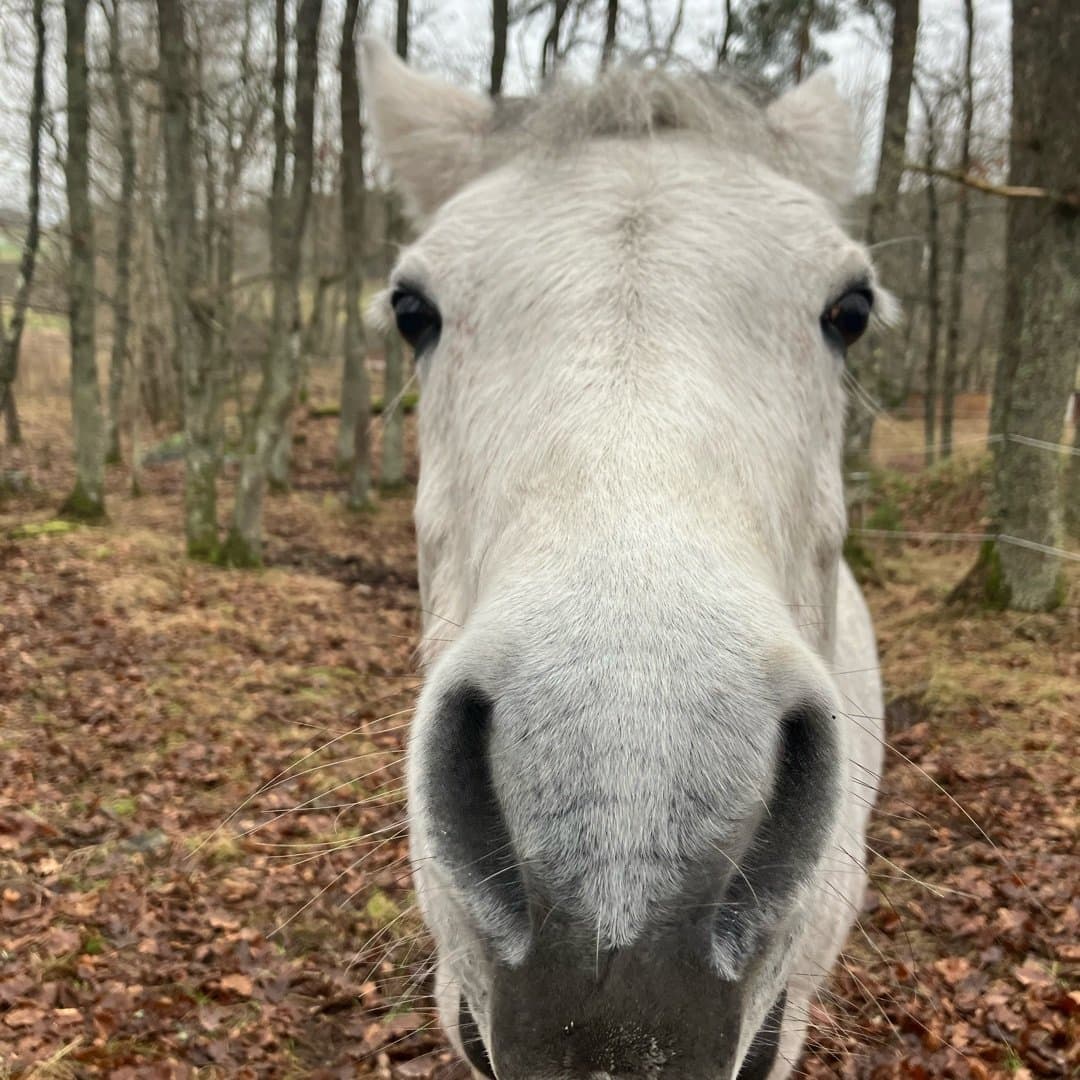 Image 1 of Glean rua dawn beauty