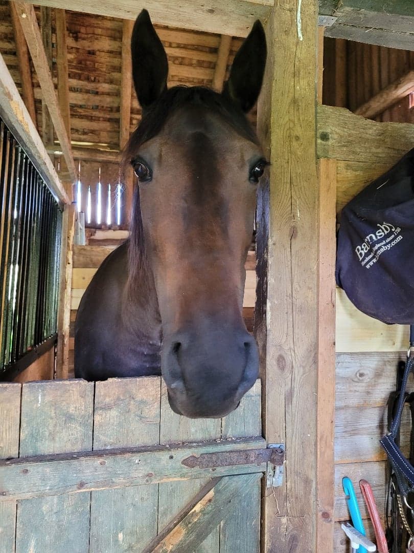 Bild 1 av Carlos memory