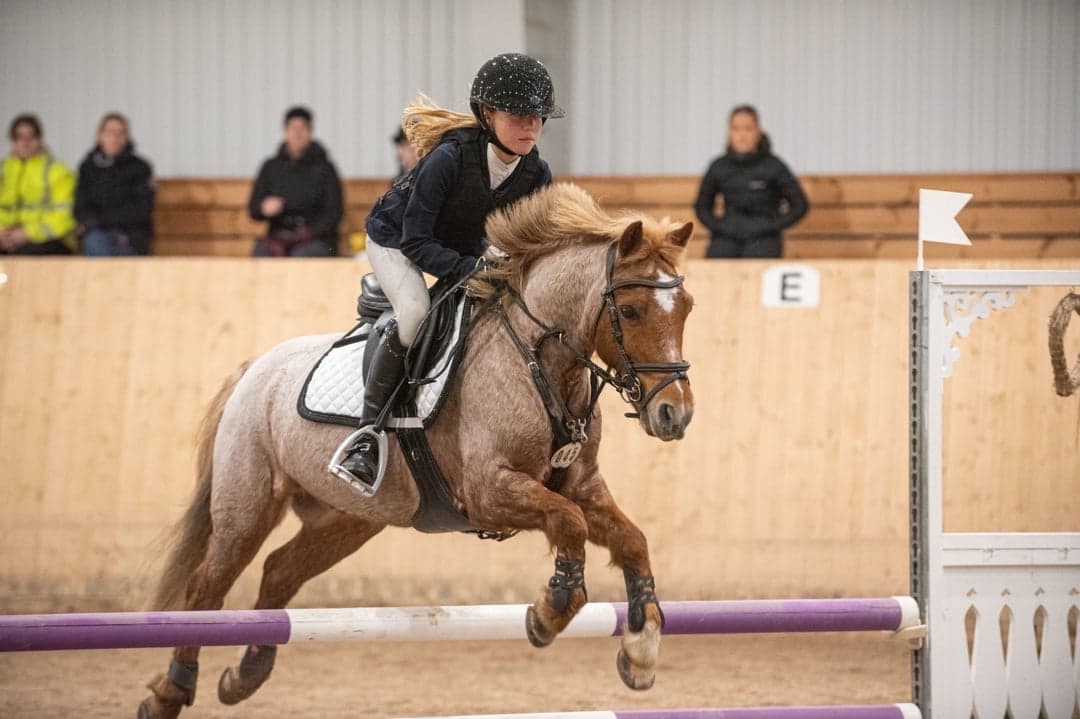 Image 1 of Witchhill B'Twixt 