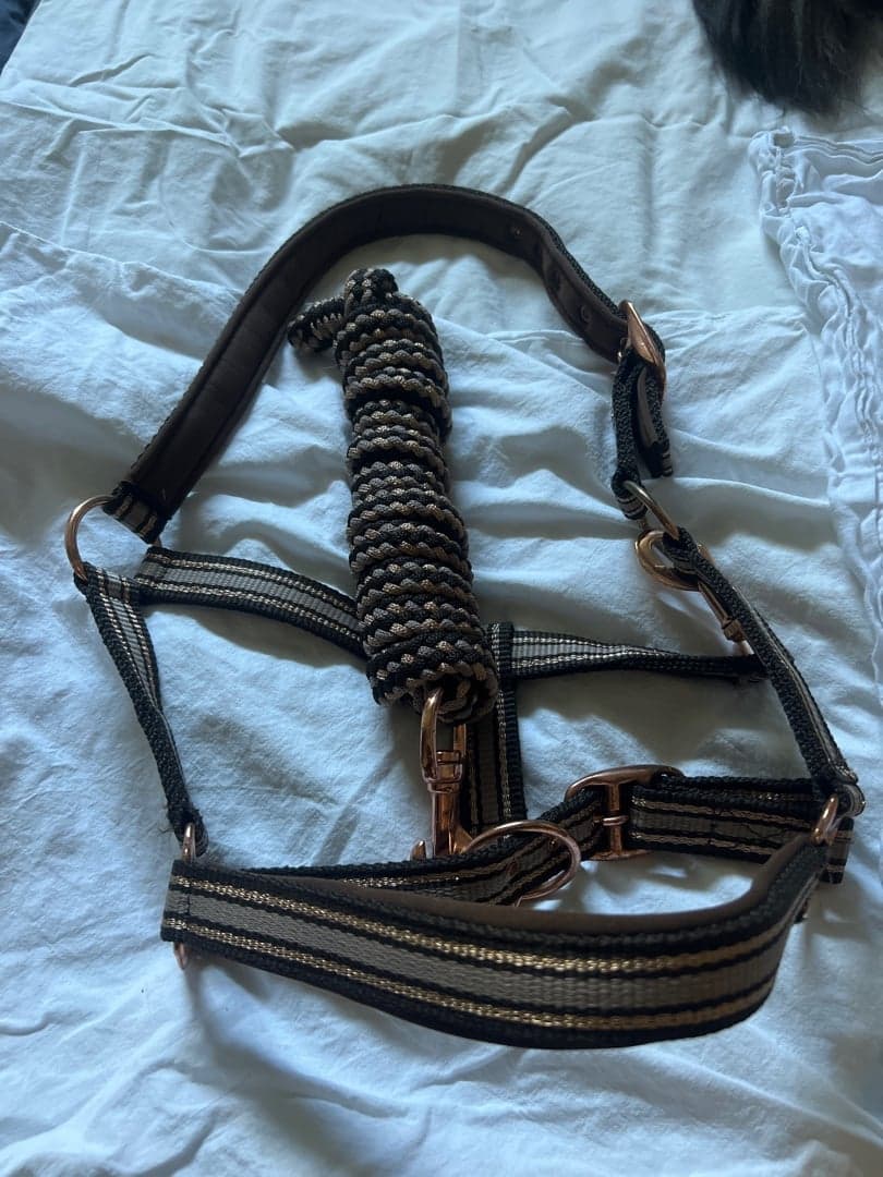 Bild 1 av Brun grimma med glitter från Horse Guard med matchande grimskaft