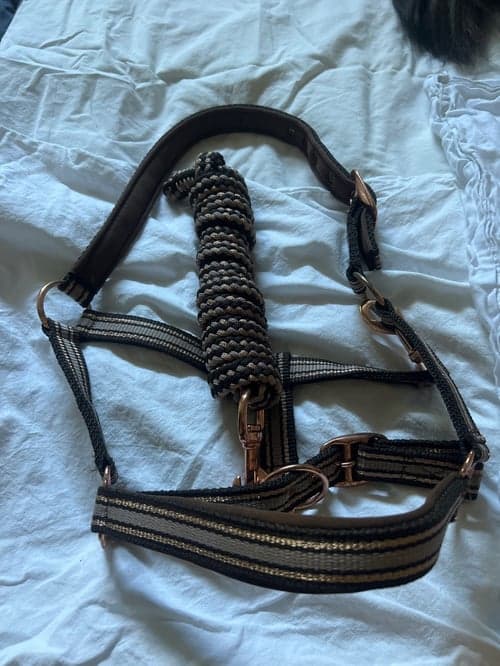 Bild av Brun grimma med glitter från Horse Guard med matchande grimskaft