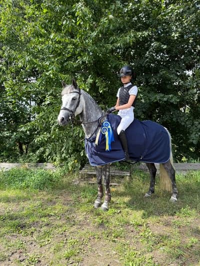 Inlägg 14 av Svensk Ridponny