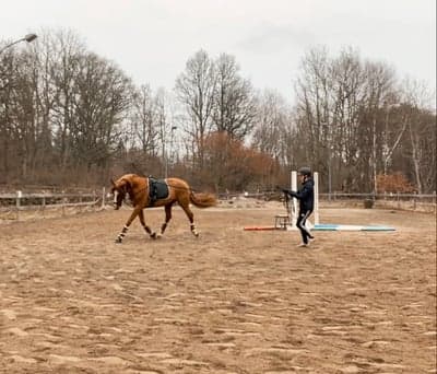 Inlägg 21 av Allround