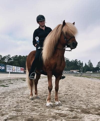 Inlägg 12 av Island med titeln Turheststevne 2023🤍