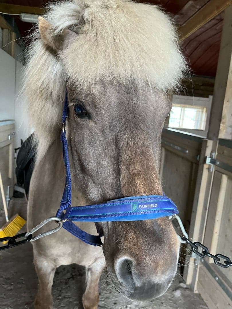 Bild 1 av Sol från tavelsjö