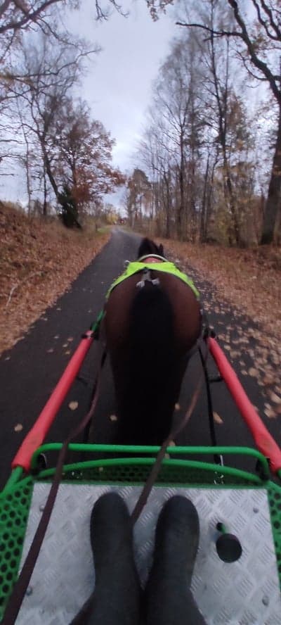 Inlägg 2 av Sportkörning med titeln I sista minuten 