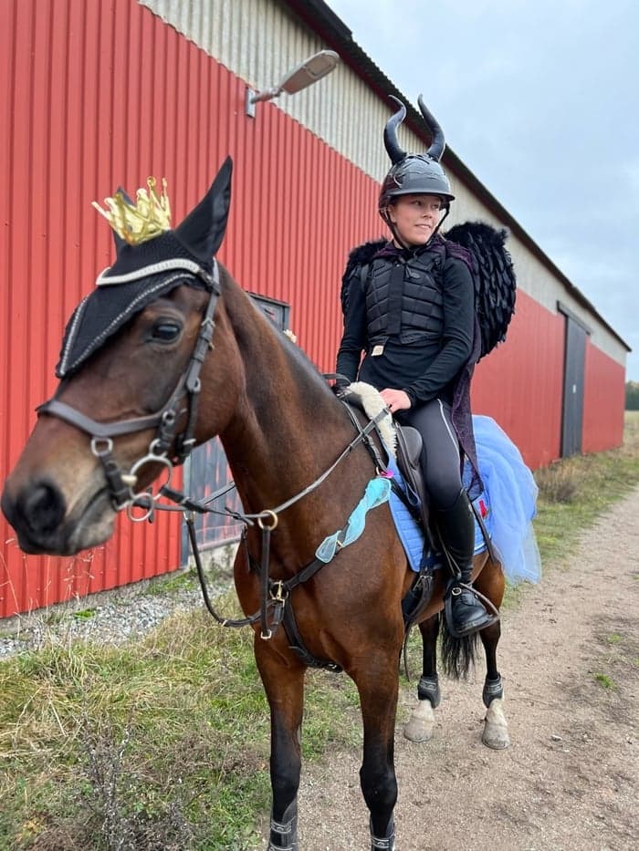 Media 3 av Törnrosa