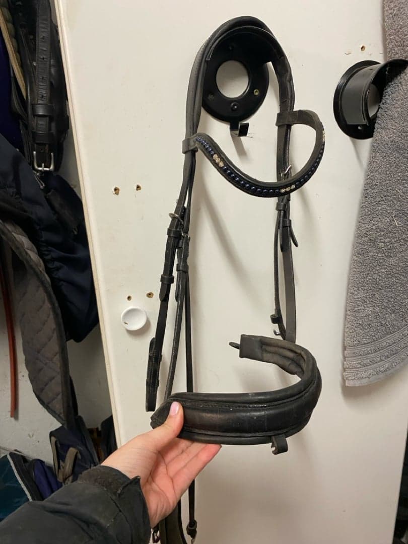 Bild 1 av Svart Träns