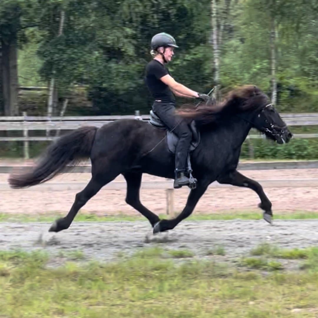 Bild 1 av Sunna från Fröstebo