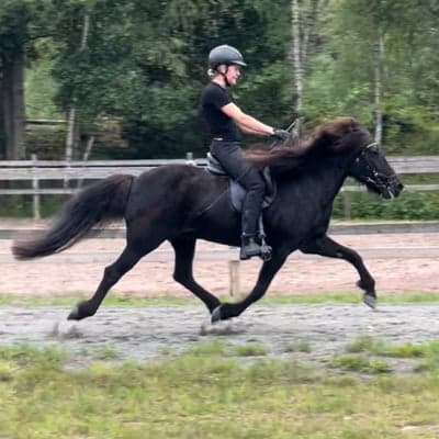 Sunna från Fröstebo