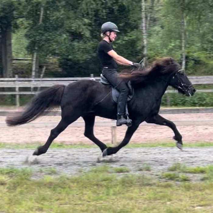 Media 1 av Sunna från Fröstebo