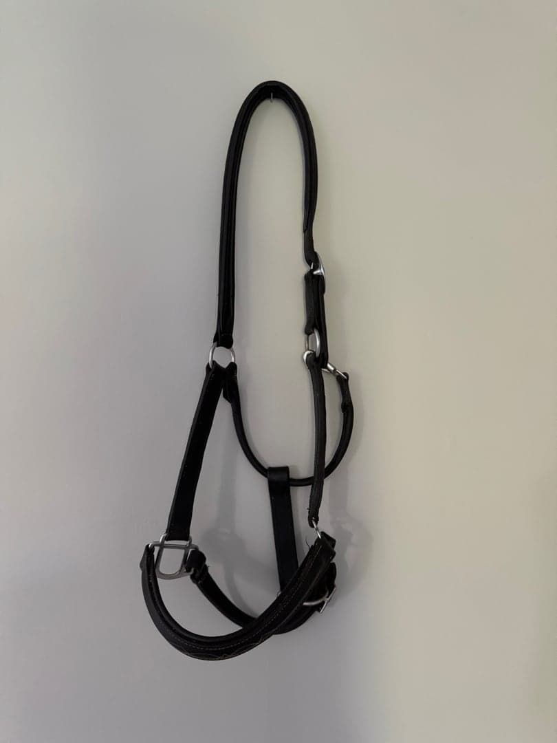 Bild 1 av Svart lädergrimma