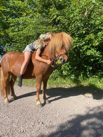 Inlägg 12 av Allround med titeln Midsommar 