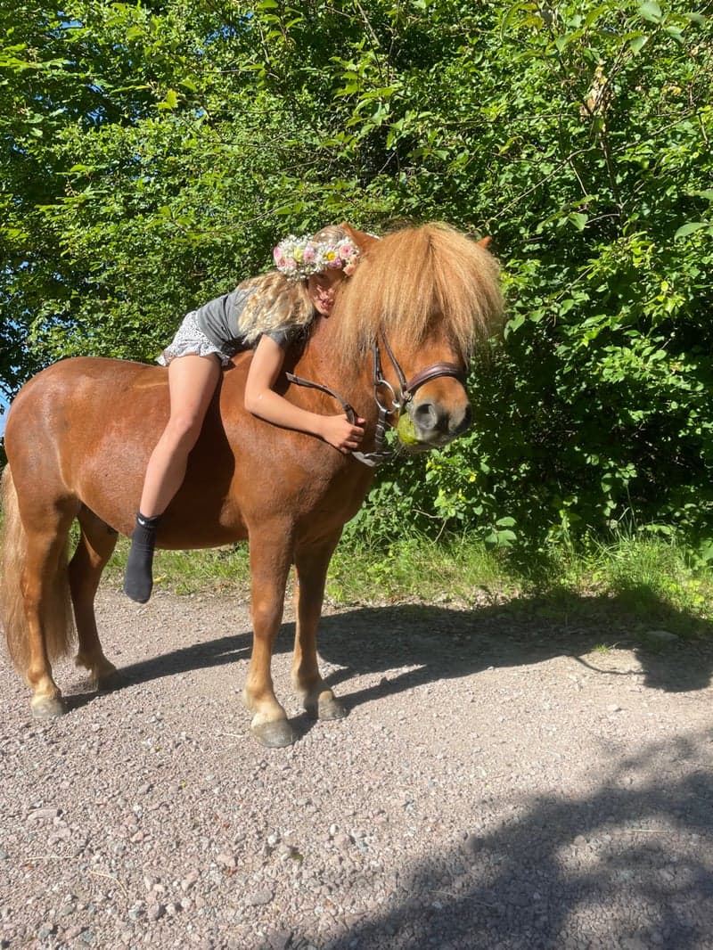 Bild 4 av placeholder text
