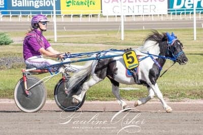 Inlägg 42 av Trav med titeln DPK’s Ponnytravgala 