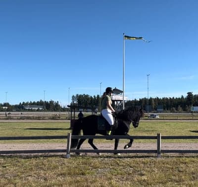 Rolig tävlingsdag idag med Sindri!