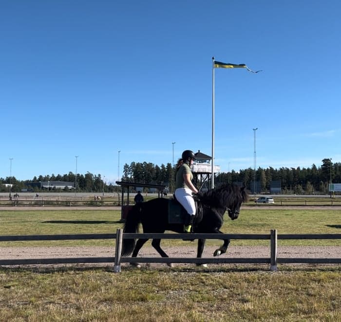 Media 2 av Sindri från Rödmossen