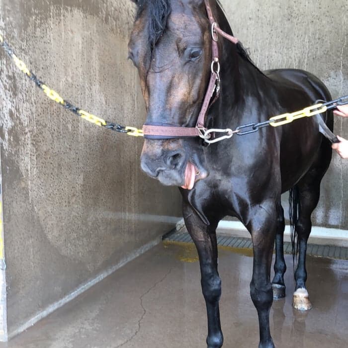 Media 1 av Jack G.G.