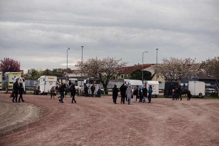 Media 4 av Testa träna galopp på Jägersro