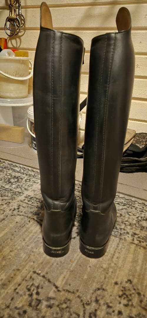 Bild 2 av Dressyrstövel Petrie 