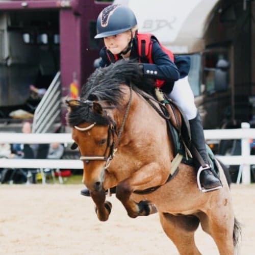 Profilbild av Martina Petersson