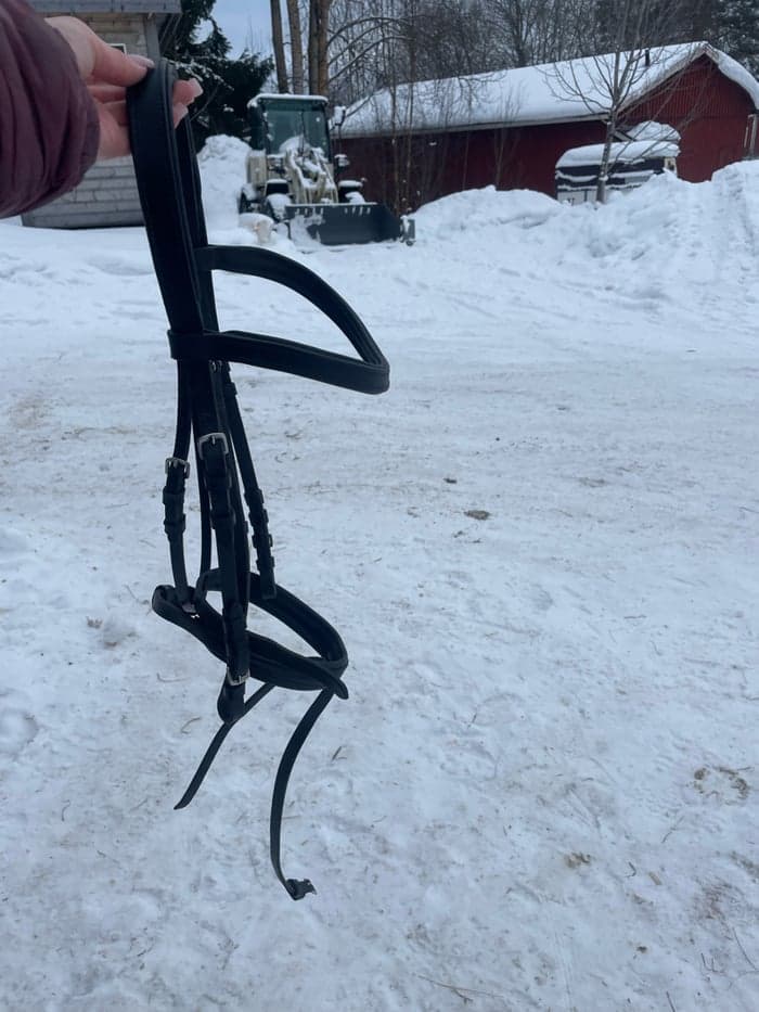 Media 2 av Svart träns