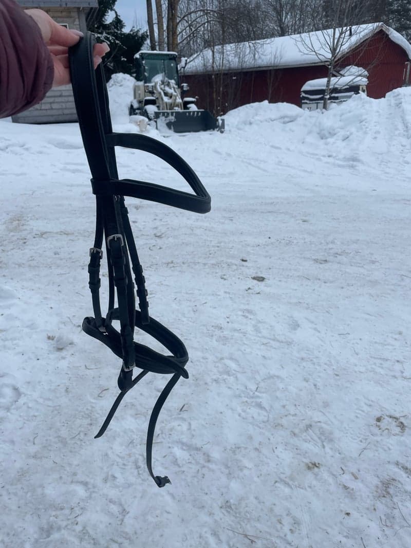 Bild 2 av Svart träns