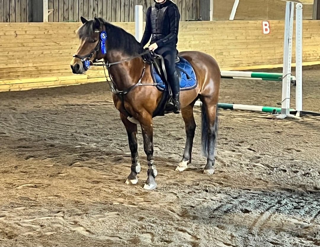 Bild 1 av Metropolitan