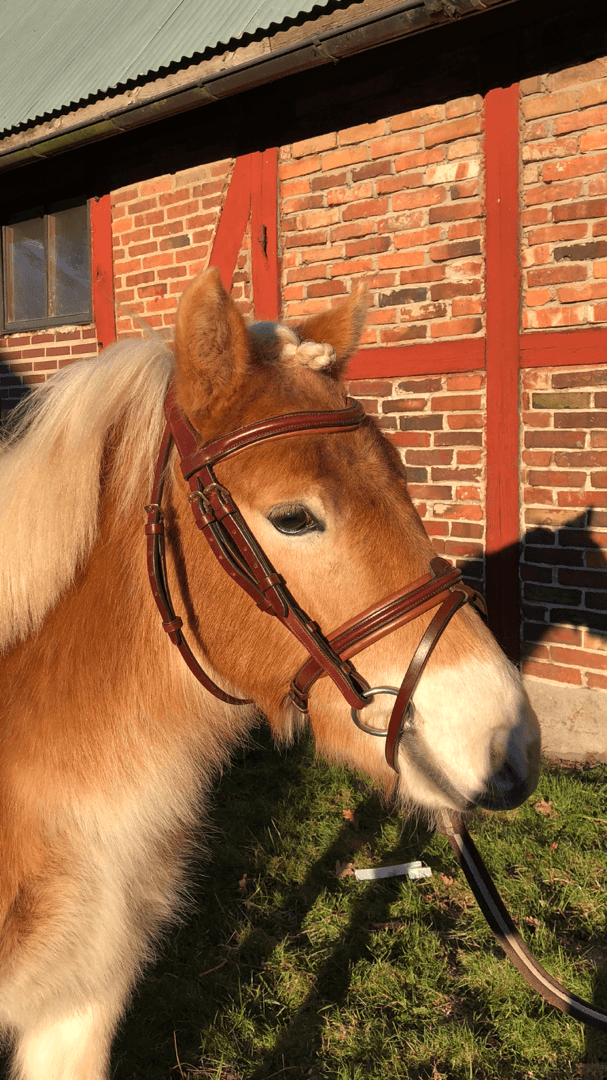 Bild 1 av Qiara Qavat