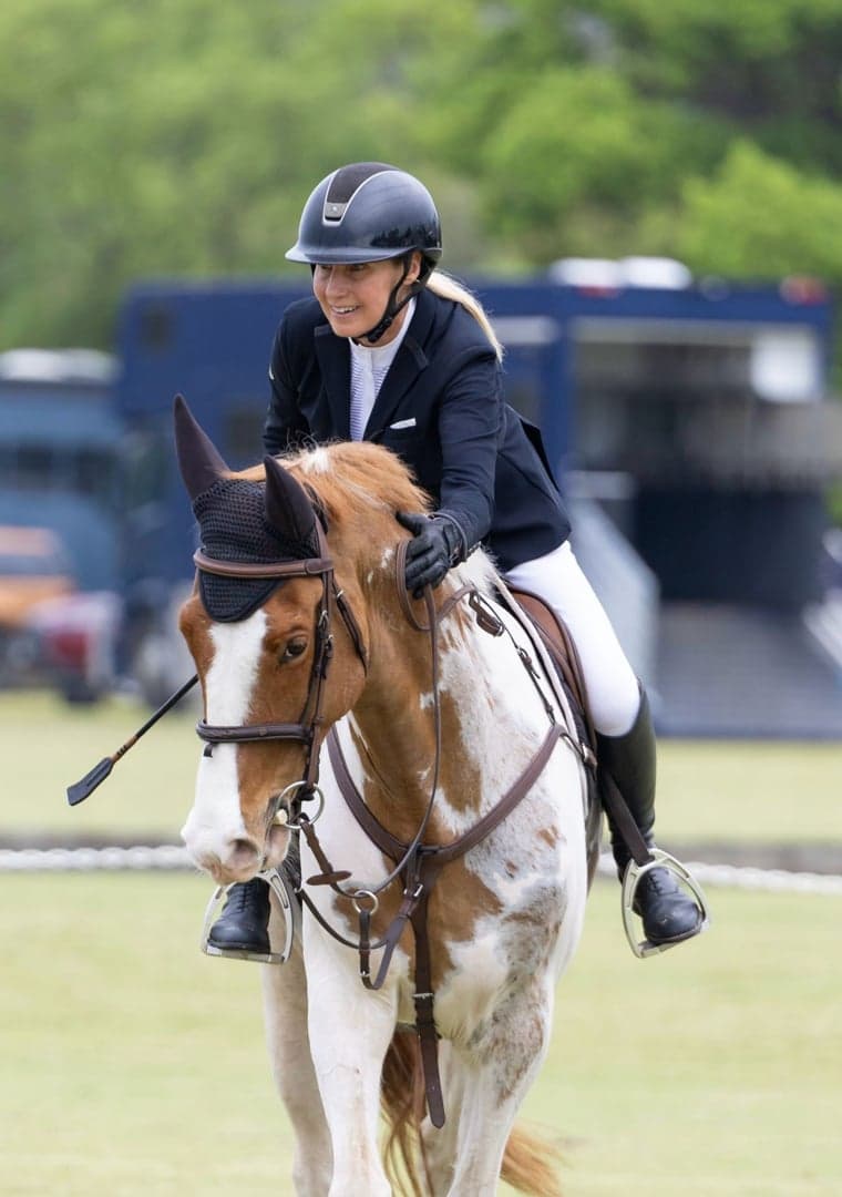 Bild 2 av Talented well breed Jumper