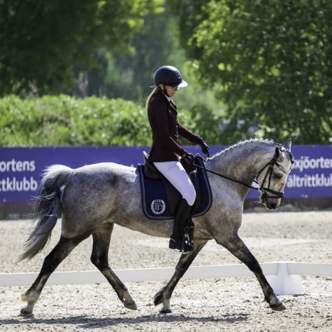 Image 1 of Böckagårdens svea