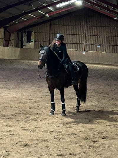 Inlägg 9 av Irländsk ridponny