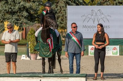 Inlägg 1 av Oldenburger Springpferd med titeln Love U❤️