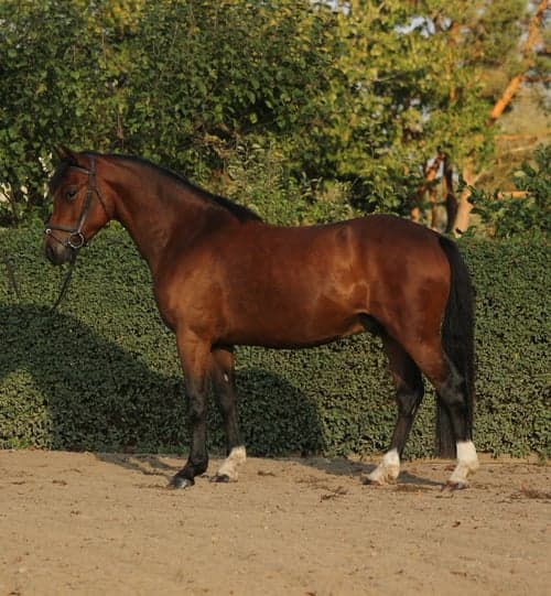 Bild av Trevlig 3 åring med dubbelutmärkelser