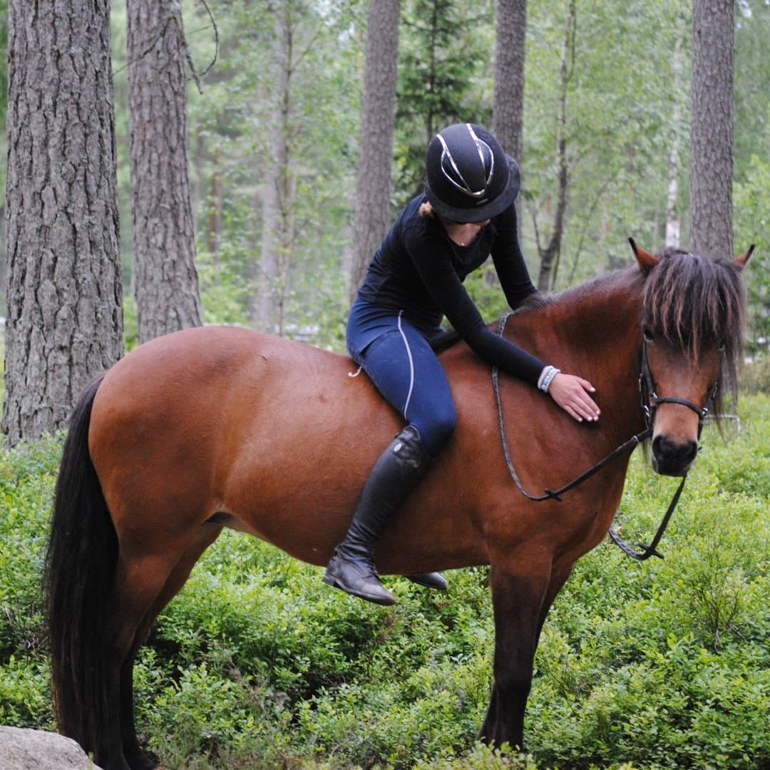 Image 1 of List Frá Höskuldsstöðum