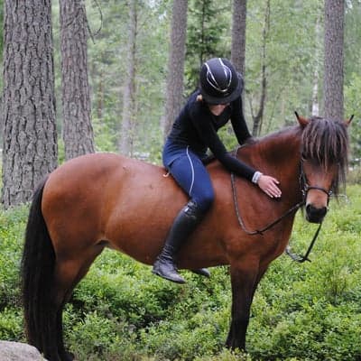 List Frá Höskuldsstöðum