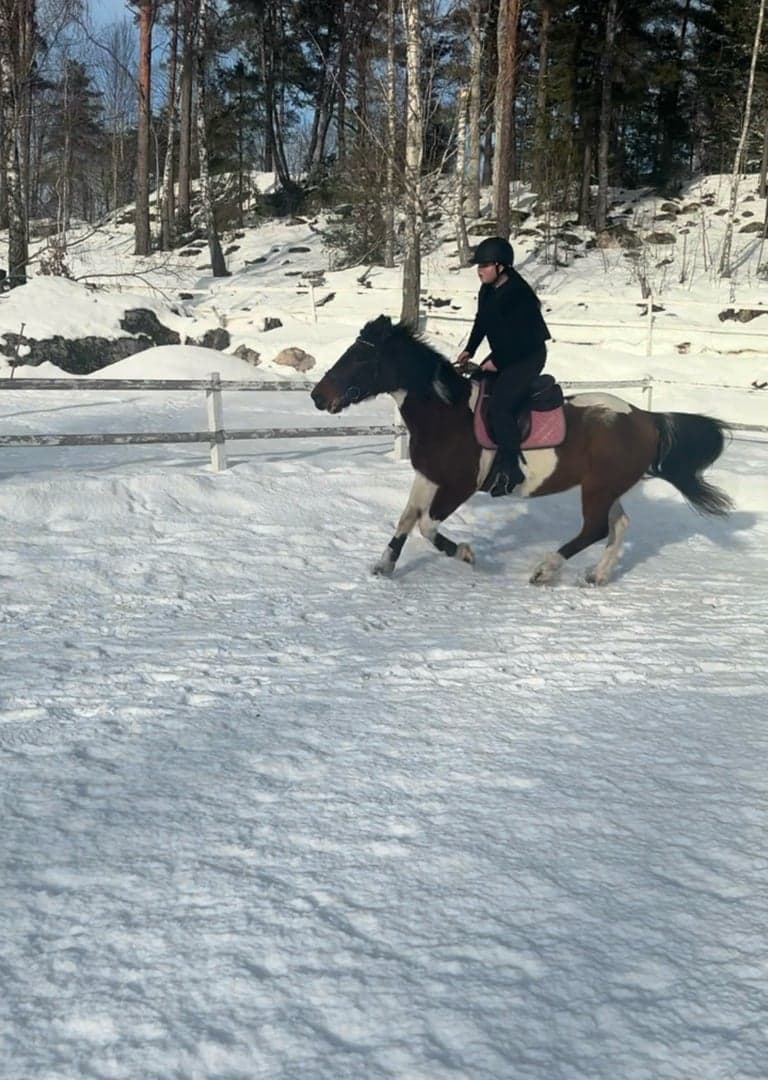 Bild 1 av Klara Torwald