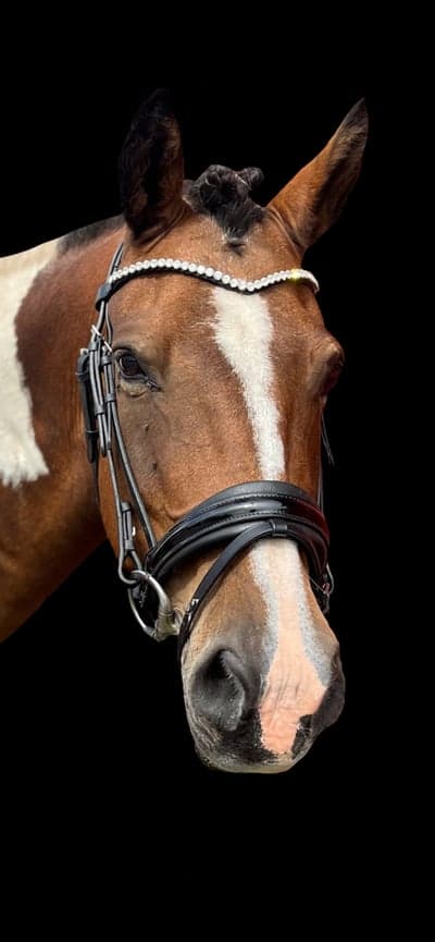 Inlägg 152 av Allround