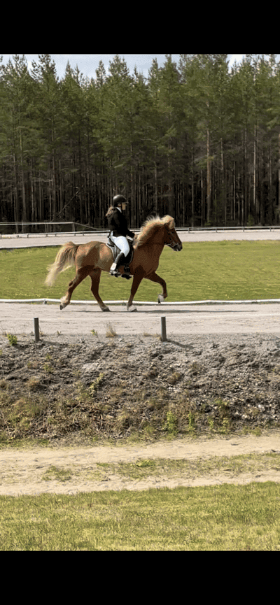 Inlägg 38 av Island med titeln 🔛🔝🔥💗